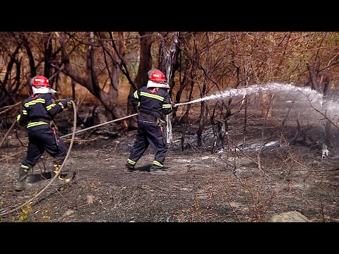 რის გამო გაჩნდა ძლიერი ხანძარი ძამას ხეობაში